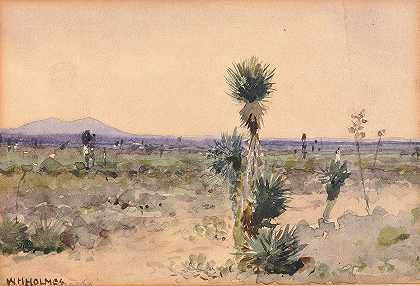 尤卡兰 – 奇瓦瓦州，墨西哥城`Yuccaland–Chihuahua, Mexico by William Henry Holmes
