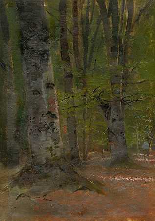 森林屋内研究`Study of Forest Interior (1890–1900) by Ladislav Mednyánszky