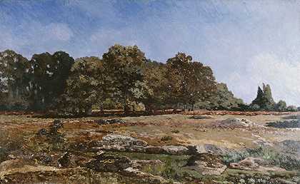 枫丹白露森林的滑块`Lisière de la forêt de Fontainebleau (1865) by Alfred Sisley