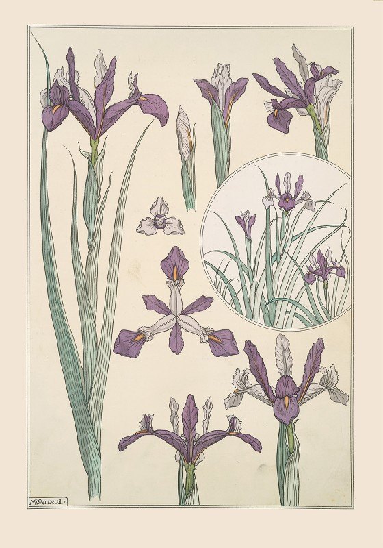 `Iris (1896) -