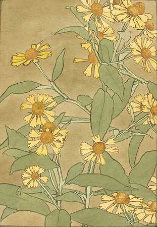 中间有橙色花瓣和黄色花瓣的雏菊`Daisies with Orange Center and Yellow Petals (circa 1915) by Hannah Borger Overbeck