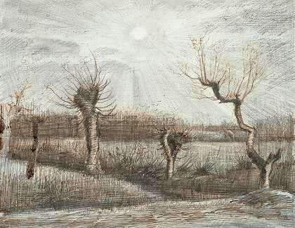 波拉德`Tetards (Pollards) (1884) by Vincent van Gogh