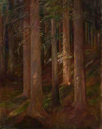 森林`Forest by Anna Berent