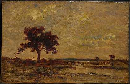 沼泽地`Marshlands (not dated) by Théodore Rousseau