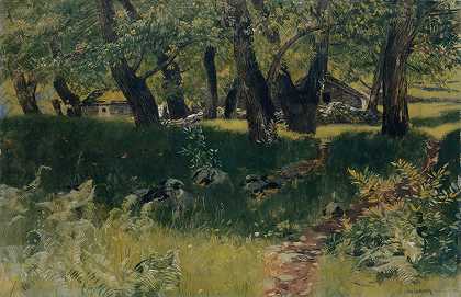 比格纳斯科附近的栗树林`Chestnut Forest near Bignasco (1896) by Hans Sandreuter