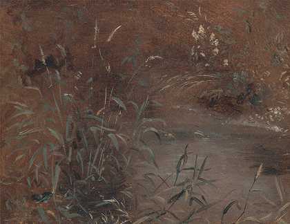 急促`Rushes by a pool (ca. 1821) by a pool by John Constable