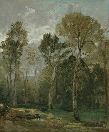 丛林景观`View Of A Copse by John Constable