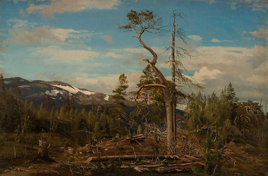 `Øverst i Setesdal (1864) -