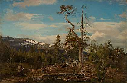 Øverst i Setesdal`Øverst i Setesdal (1864) by Amaldus Nielsen