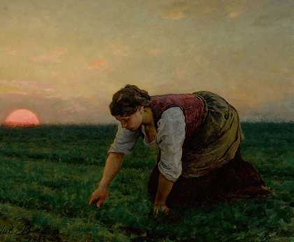 块茎状的`Une Sarcleuse (1883) by Jules Breton