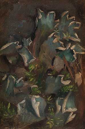 苔藓`Lichen (1895 1896) by Torsten Wasastjerna