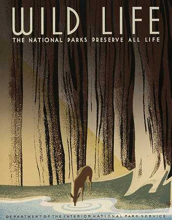 野生动物国家公园保护所有的生命`Wild life The national parks preserve all life (1936) by Frank S. Nicholson