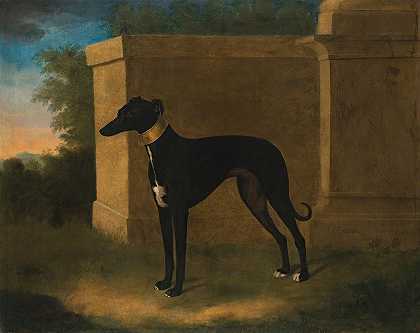 一只名叫庞彭的灰狗的肖像`Portrait Of A Greyhound, Called Pompon (1746) by John Wootton