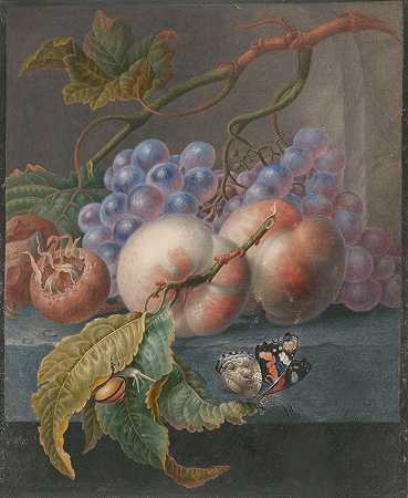 有蝴蝶和蜗牛的水果`Vruchten met een vlinder en een slak (1677) by Herman Henstenburgh