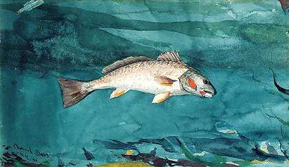 频道低音`Channel Bass (1904) by Winslow Homer