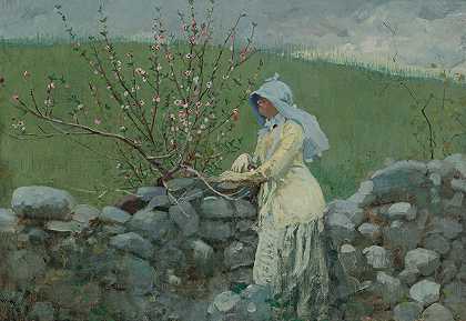 桃花`Peach Blossoms (1879) by Winslow Homer