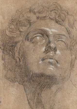 米开朗基罗之后的朱利亚诺·德·梅迪奇的头目`Head of Giuliano de’ Medici, after Michelangelo by Jacopo Tintoretto