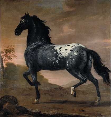 查尔斯·习近平的救命马蓝虎`Karl XIs livhäst Blå Tigern (1673) by David Klöcker Ehrenstrahl