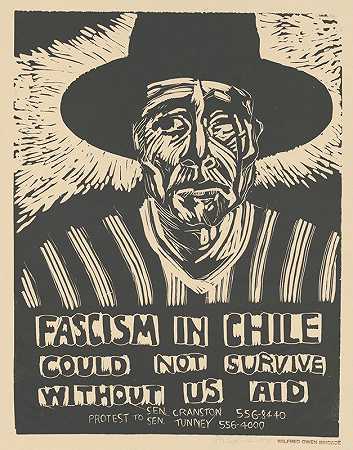 没有美国的援助，智利的法西斯主义就无法生存`Fascism in Chile could not survive without US aid (1975) by Rachael Romero