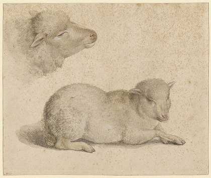 休息的羔羊和羊头`Ruhendes Lamm und Kopf eines Lammes (1523) by Hans Holbein The Younger