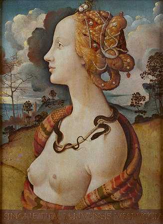 西蒙内塔·维斯普奇的女性肖像`Portrait de femme dit de Simonetta Vespucci by Piero di Cosimo