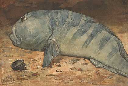 鱼的侧景观`Side View of a Fish (1883) by Willem Witsen