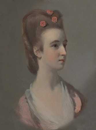 一个女人的肖像，可能是内特索普小姐`Portrait of a Woman, Possibly Miss Nettlethorpe (ca. 1770) by Henry Walton