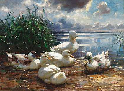 基姆湖上的鸭子正在酝酿风暴`Ducks on Lake Chiemsee in a Brewing Storm by Alexander Koester