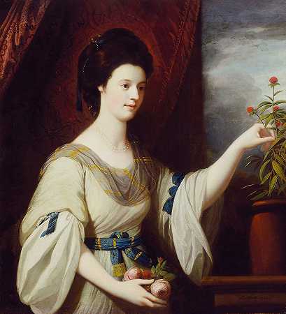 戴安娜·玛丽·巴克肖像`Portrait of Diana Mary Barker (1766) by Benjamin West