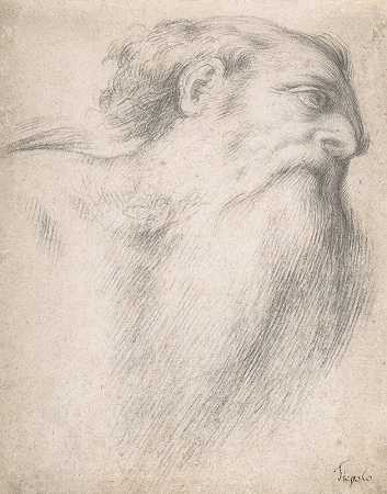 胡子男人的头`Head of a Bearded Man (1516–17) by Lorenzo Lotto