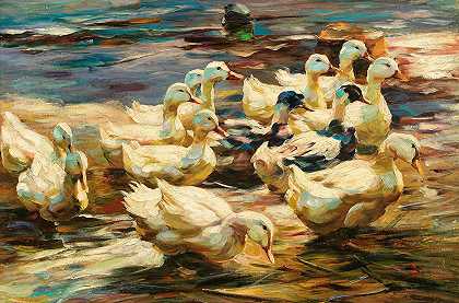 鸭子从水里出来`Ducks Getting Out of the Water by Alexander Koester