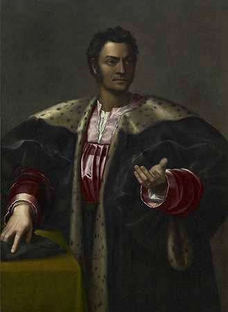安东·弗朗西斯科·德格利·阿比齐`Anton Francesco degli Abizzi by Sebastiano del Piombo
