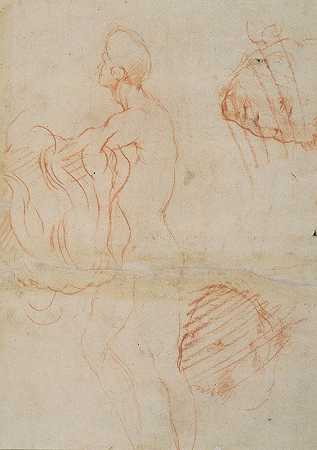 图形学习与脸`Figure Study and Face (1522–1526) by Andrea del Sarto