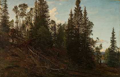 边锋霍伊，特莱马克。`Vingeråsheia, Telemark (1866) by Amaldus Nielsen