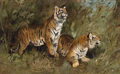 草丛中的老虎`Tiger im hohen Gras by Geza Vastagh