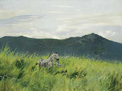草原上的斑马`Zebra On The Steppe (1891) by Wilhelm Kuhnert