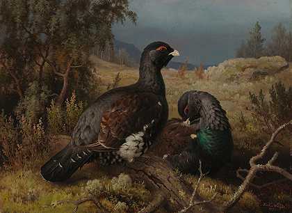 卡佩卡利公鸡`Capercaillie Cocks (1876) by Ferdinand von Wright