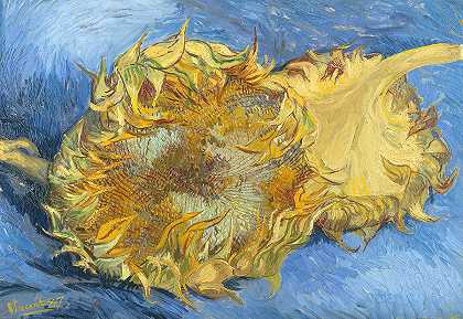 两朵向日葵` Two sunflowers by Van Gogh