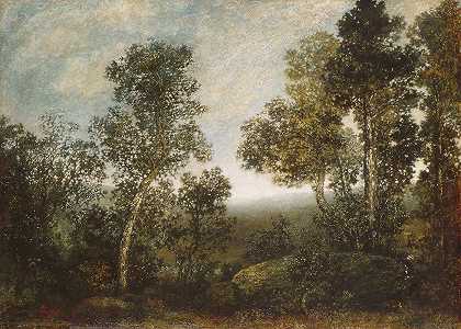 景观`Landscape (1885–95) by Ralph Albert Blakelock