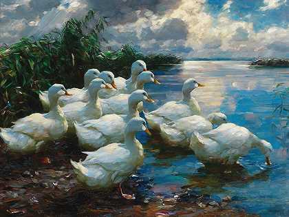 鸭子`Ducks by a lake by a lake by Alexander Koester