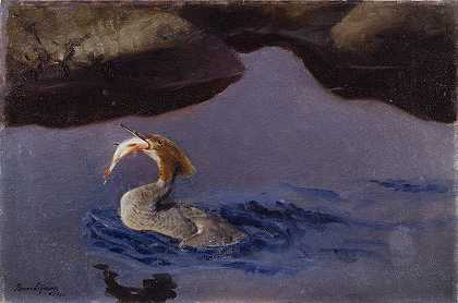 雌性鱼尾蛇`Female Merganser (1901) by Bruno Liljefors