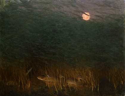 野鸭夜游`Nocturnal Mood with Wild Ducks (1901) by Bruno Liljefors