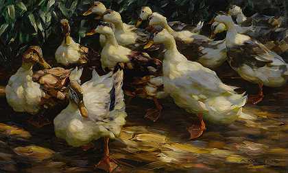 阳光下的鸭子`Ducks In Sunlight by Alexander Koester