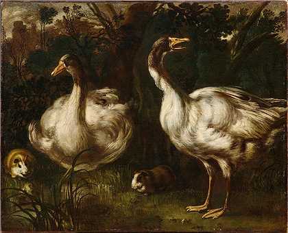 鸭子和豚鼠`Ducks and Guinea Pigs (17th Century) by Emilian School