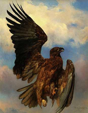 受伤的老鹰` The Wounded Eagle by Rosa Bonheur