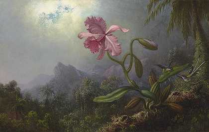 两只带兰花的蜂鸟`Two Hummingbirds with an Orchid by Martin Johnson Heade
