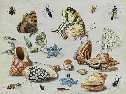 蛤蜊、蝴蝶、花和昆虫` Clams, Butterflies, Flowers and Insects by Jan van Kessel