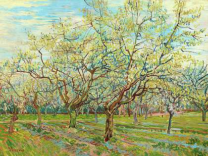 白果园`The White Orchard by Vincent van Gogh