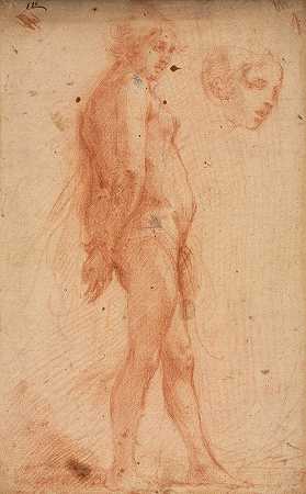 研究一个站立的男性裸体，研究头部四分之三的侧面`Study of a Standing Male Nude, with a Study of Head in Three~Quarter Profile (c. 1640) by Cecco Bravo