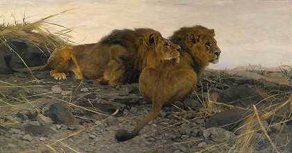 守望的狮子`Lions At Watch by Wilhelm Kuhnert